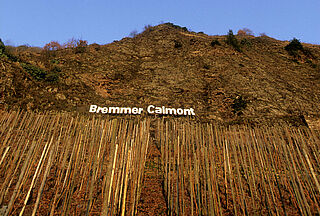 Bremmer Calmont, Klettersteig