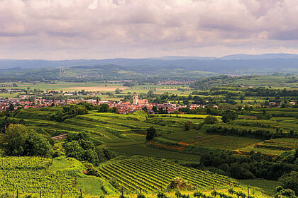 Reisen in deutsche Weinregionen