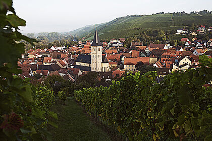 Franken Weinregion